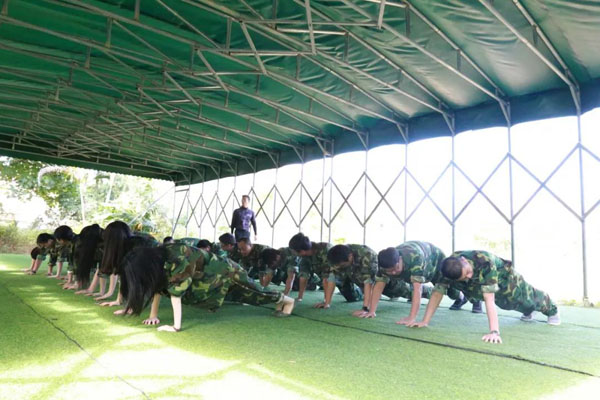 牛宝体育官网新能源_厚积薄发_赢胜2021(图2)